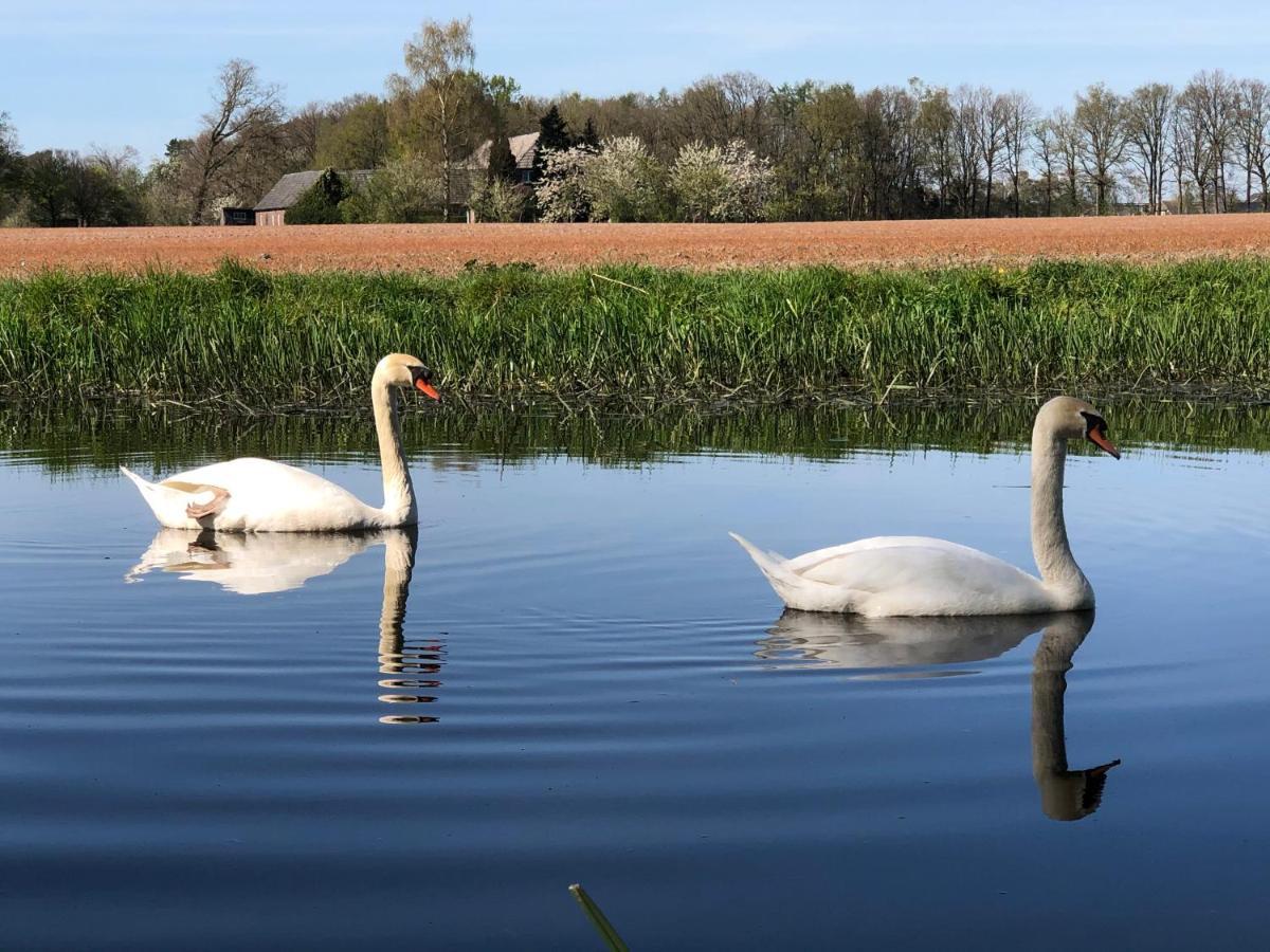 Vakantiehuis Bielheimerbeek ドゥーティンヘム エクステリア 写真
